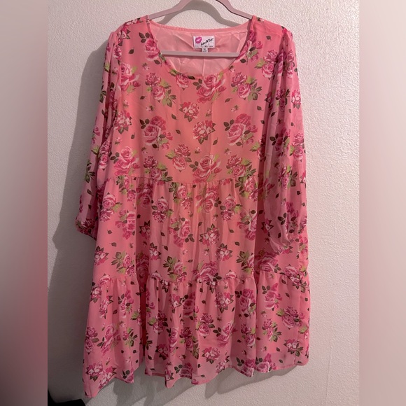 Betsey Johnson Dresses & Skirts - Betsey Johnson Pink Floral Sheer Dress XL